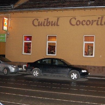 Restaurant Cuibul Cocorilor
