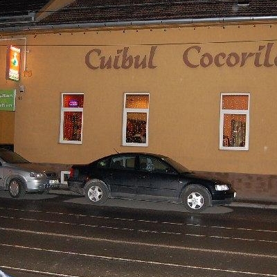 Cuibul Cocorilor