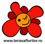 Logo Restaurant Terasa Florilor Bucuresti
