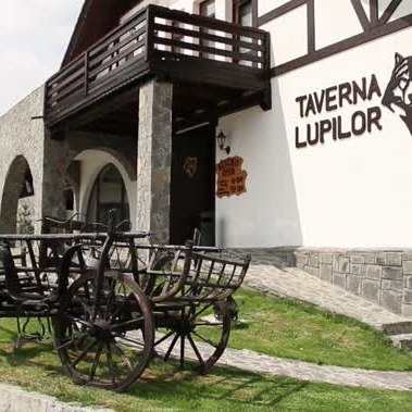 Imagini Restaurant Taverna Lupilor