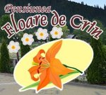Logo Restaurant Floare de Crin Pojorata