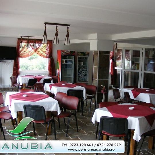 Imagini Restaurant Danubia