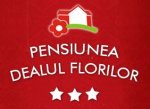 Logo Restaurant Dealul Florilor Baia Mare