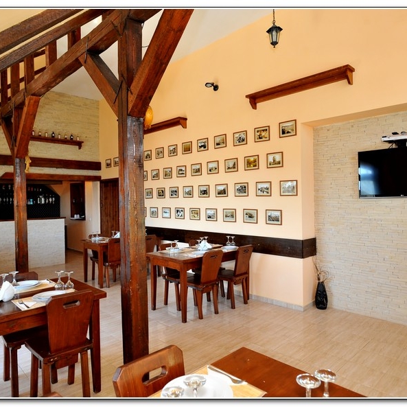 Imagini Restaurant Castalia