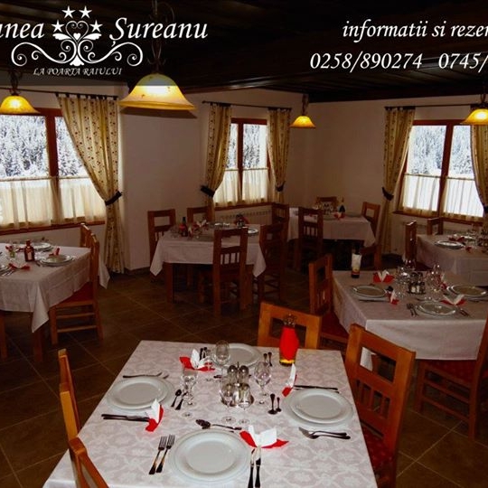 Imagini Restaurant Sureanu
