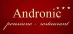 Logo Restaurant Andronic Timisoara