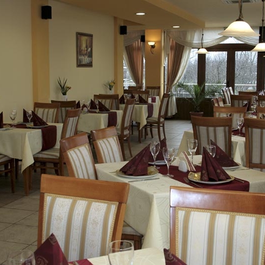 Imagini Restaurant Andronic