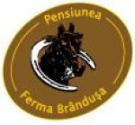 Logo Restaurant Brandusa Avrig