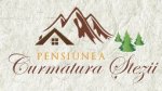 Logo Restaurant Curmatura Stezii Paltinis