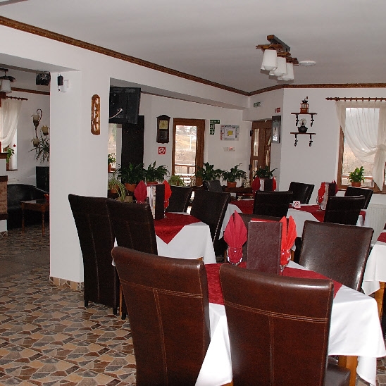 Imagini Restaurant Viodor