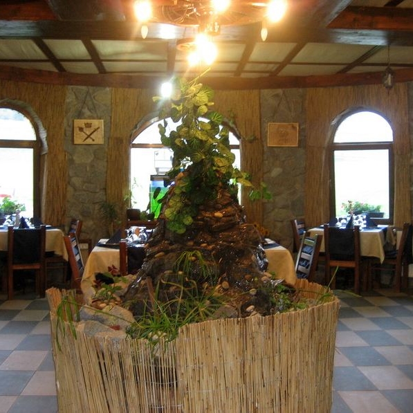 Imagini Restaurant Domeniul Regilor