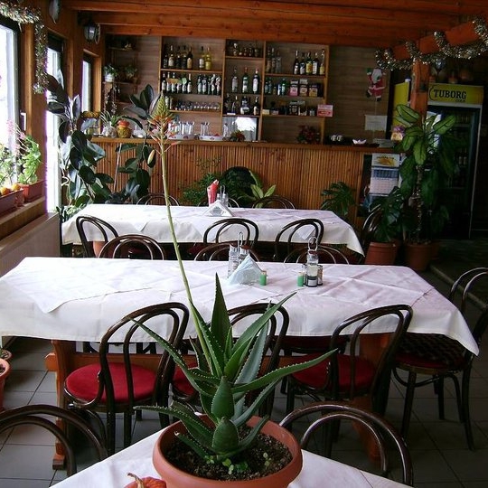 Imagini Restaurant Ariniș