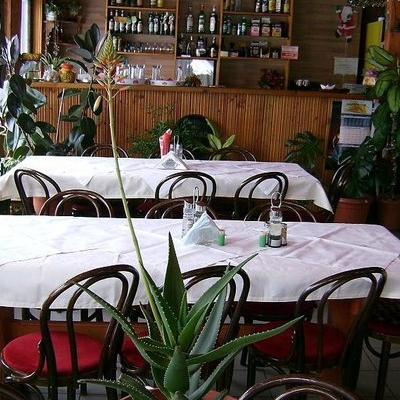 Restaurant Ariniș