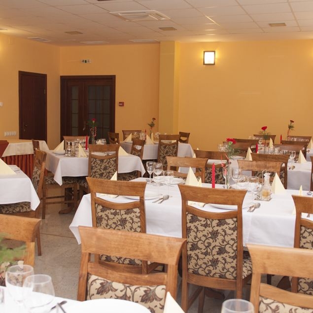 Imagini Restaurant Vila Ursu