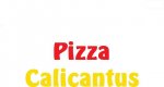 Logo Pizzerie Calicantus Brasov