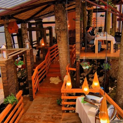 Restaurant Forest
