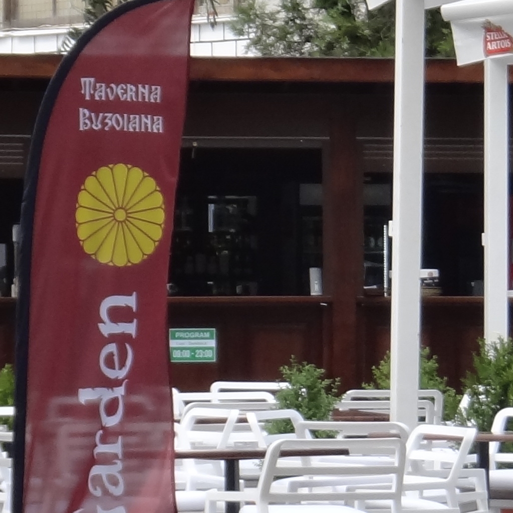 Imagini Restaurant Romanesc Taverna Buzoiana Garden