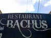 Restaurant Traditional Romanesc Bachus