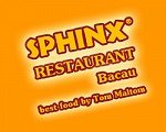 Logo Restaurant Sphinx Bacau