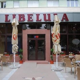 Fast-Food Libelula