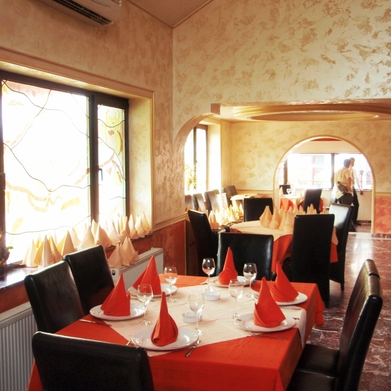 Imagini Restaurant Casa Enache Scrovistea