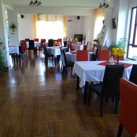 Imagini Restaurant Veverita