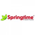 Logo Fast-Food Springtime Constanta