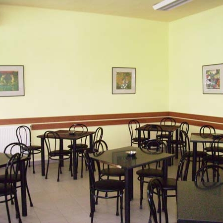 Imagini Restaurant Dorna