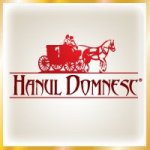 Logo Restaurant Hanul Domnesc Brasov