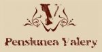 Logo Pensiune Valery II Timisoara