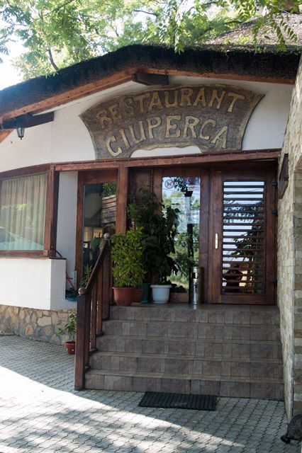Imagini Restaurant Ciuperca