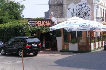 Imagini Restaurant Pelican