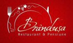 Logo Restaurant Brândușa Suceava