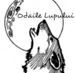 Logo Bar/Pub Odăile Lupului Sacele