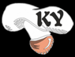 Logo Pizzerie Karyna Bucuresti