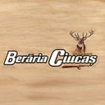 Logo Berarie Ciucas Brasov