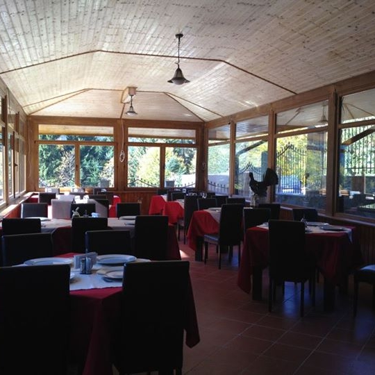 Imagini Restaurant Safari Club by Cumpatu