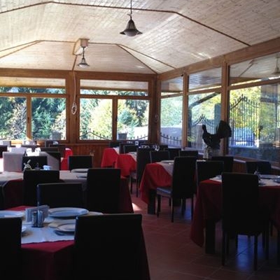 Restaurant Safari Club by Cumpatu