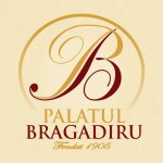 Logo Restaurant Palatul Bragadiru Bucuresti