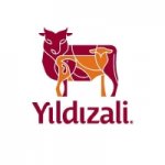 Logo Restaurant Yildizali Bucuresti