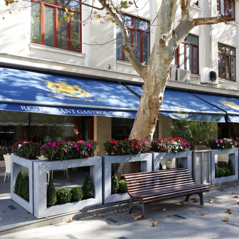 Imagini Restaurant Le Fin Palais Royal