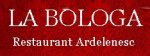 Logo Restaurant La Bologa Ludus