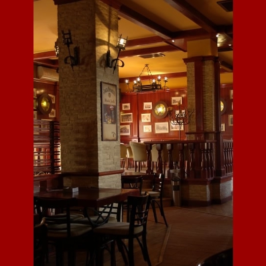 Imagini Restaurant Castel Pub