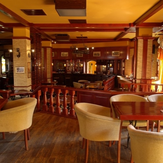 Imagini Restaurant Castel Pub