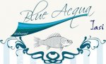 Logo Restaurant Blue Acqua Iasi
