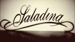 Logo Restaurant Saladina Zalau
