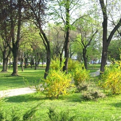  Parcul Civic