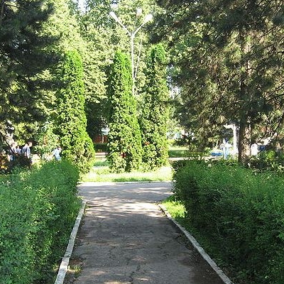  Parcul Universitatii