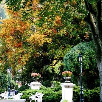  Parcul Dimitrie Ghica Sinaia