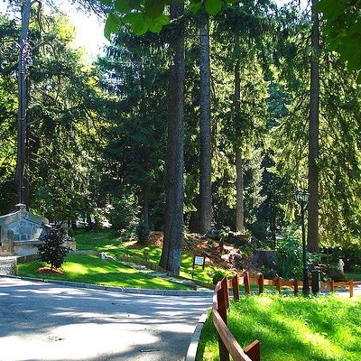  Parcul Dimitrie Ghica Sinaia